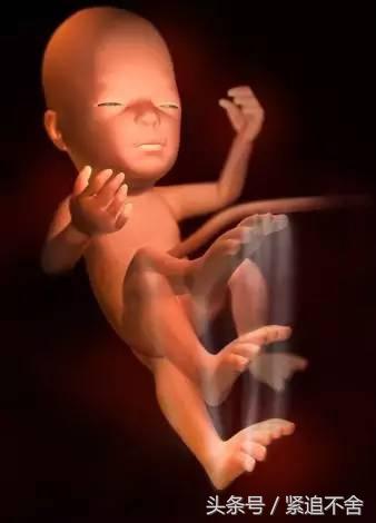 超萌龙凤胎宝宝图片,孕1到9周胎儿发育全过程