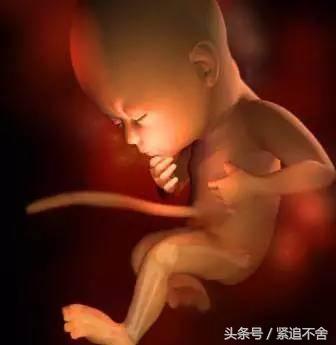 超萌龙凤胎宝宝图片,孕1到9周胎儿发育全过程