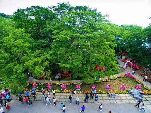 焦作旅游青龙峡风景图,焦作青龙峡风景区瀑布