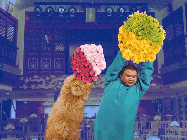 脚脖太细显得小腿肚粗,小腿肚超级粗脚踝超级细怎么办