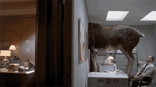 办公室装修走水,办公室装修洗手间