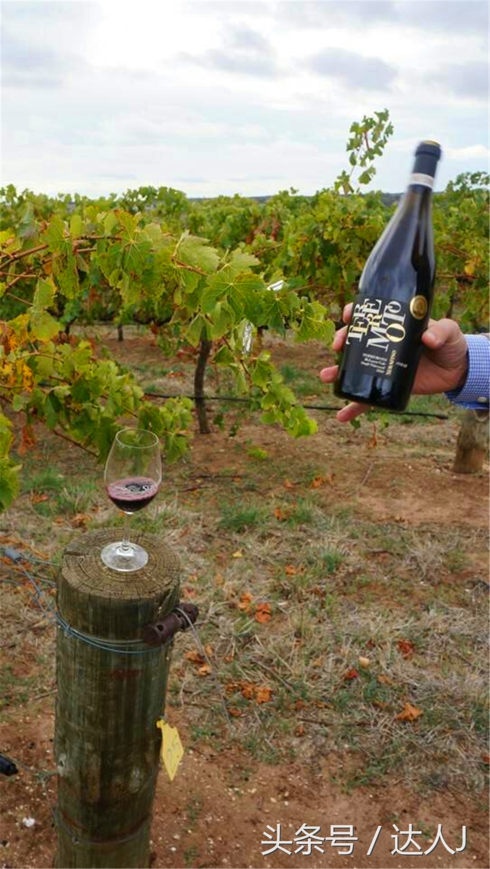 澳洲阿德莱德vs悉尼fc,阿德莱德对澳洲悉尼