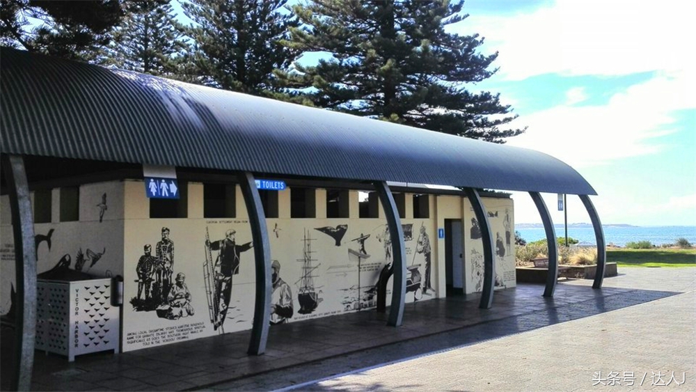 澳洲阿德莱德vs悉尼fc,阿德莱德对澳洲悉尼