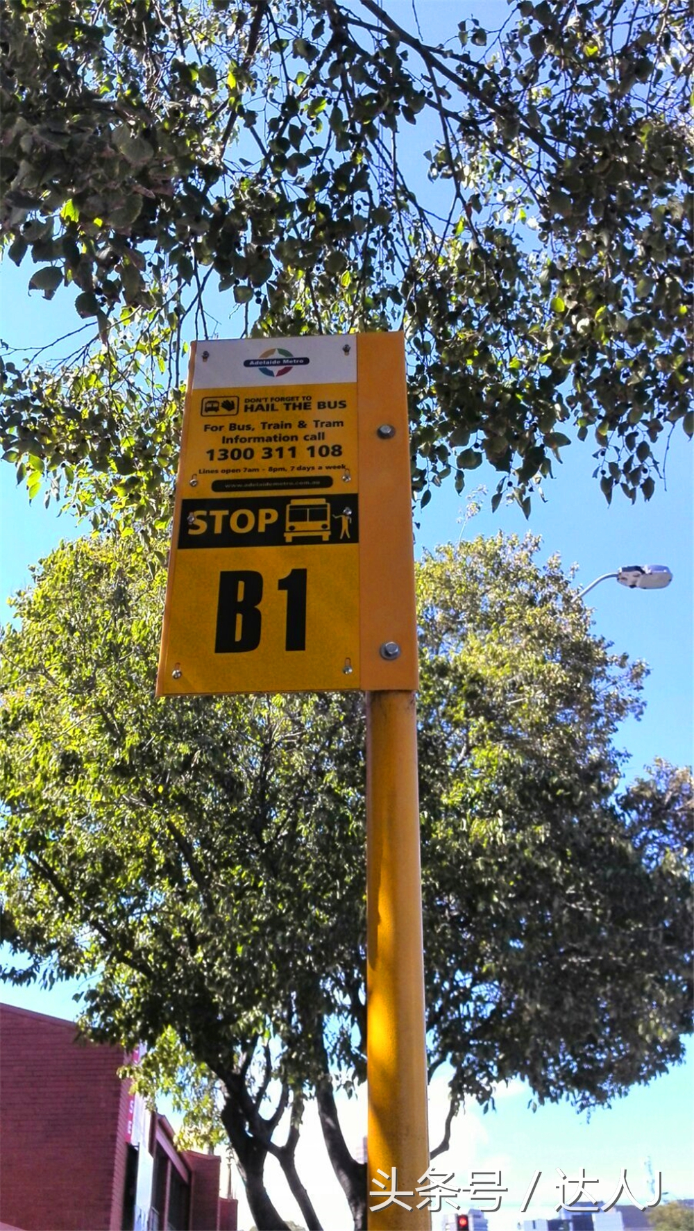 澳洲阿德莱德vs悉尼fc,阿德莱德对澳洲悉尼