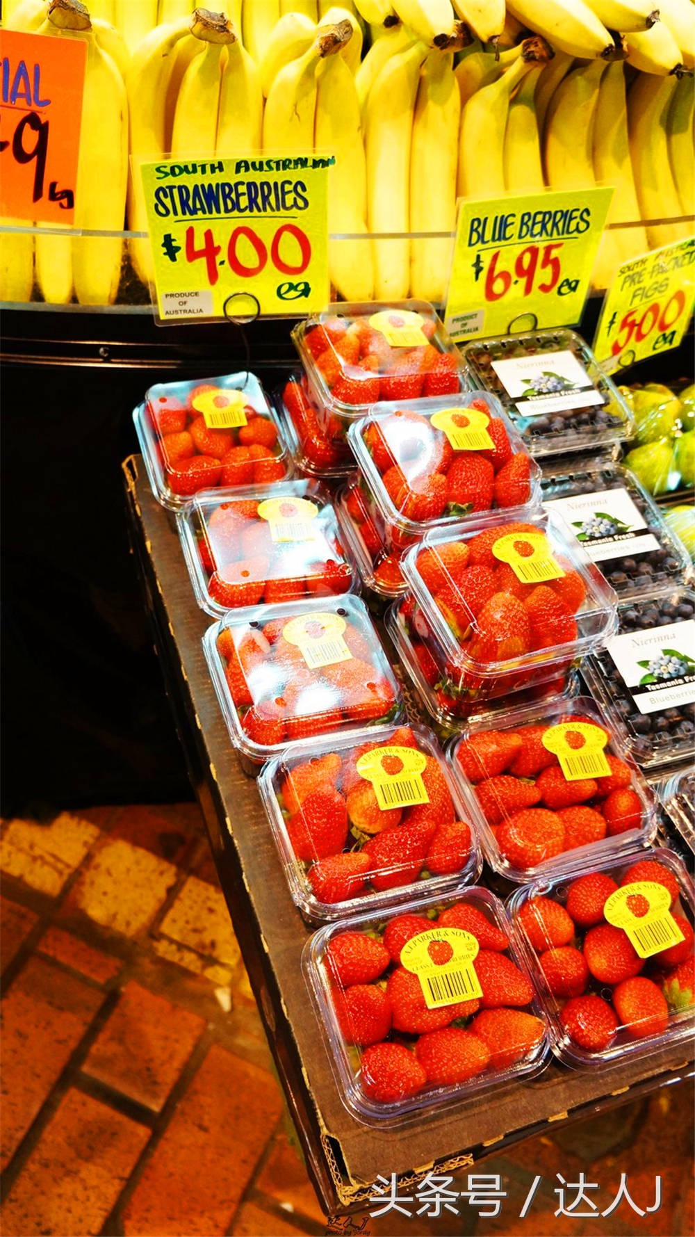 澳洲阿德莱德vs悉尼fc,阿德莱德对澳洲悉尼