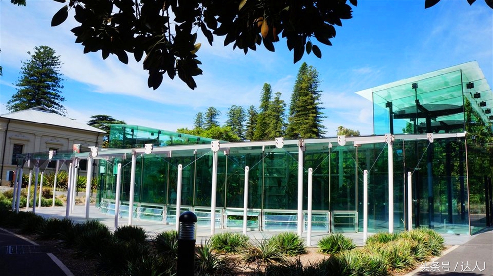 澳洲阿德莱德vs悉尼fc,阿德莱德对澳洲悉尼