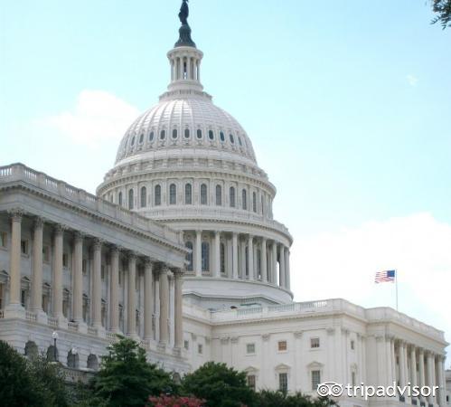 吃热狗挑战赛,吃热狗大赛热狗多重