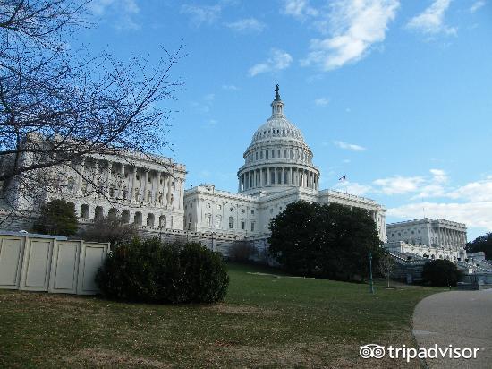 吃热狗挑战赛,吃热狗大赛热狗多重