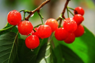 炙热的太阳下原唱,炙热的太阳下