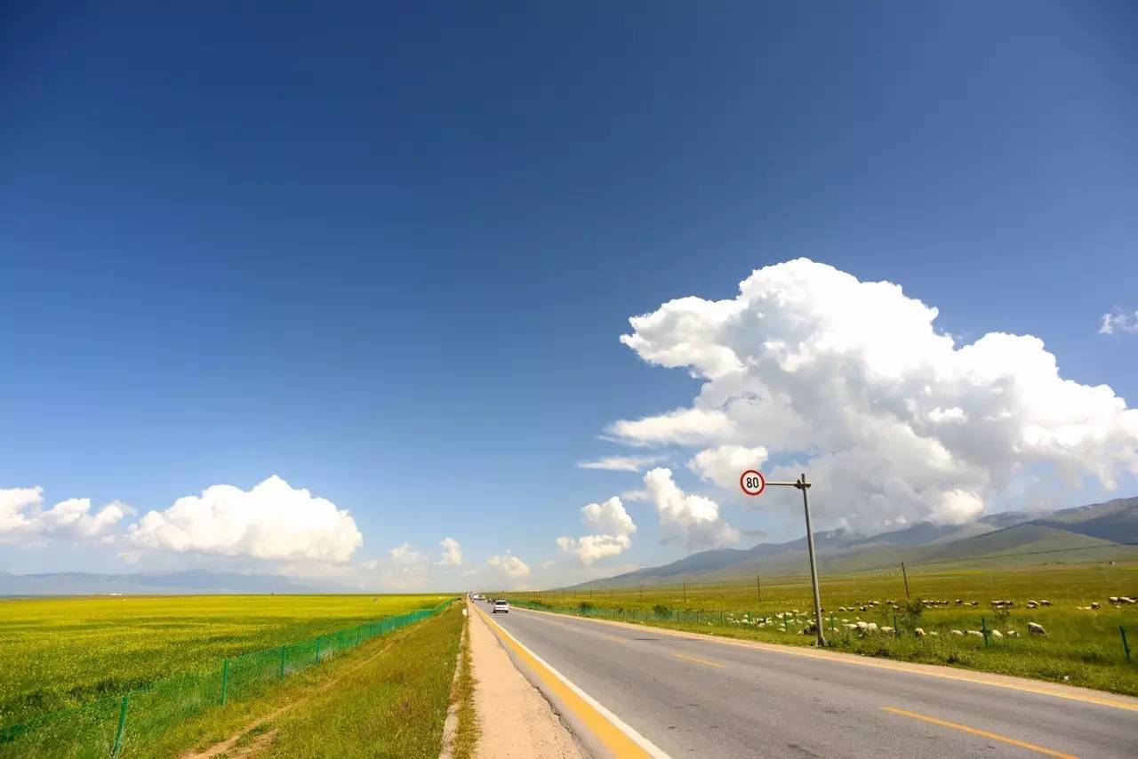 环青海湖大环线自驾游全攻略,青海湖环湖自驾哪里离青海湖最近