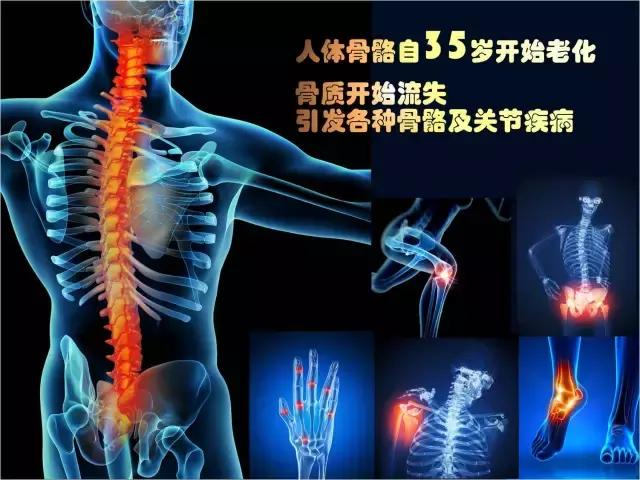 巨噬细胞衰老骨质疏松,成骨细胞会衰老吗