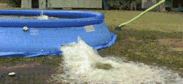 每天上班都很累还需要锻炼身体吗,天天上班太累还要给女朋友发信息