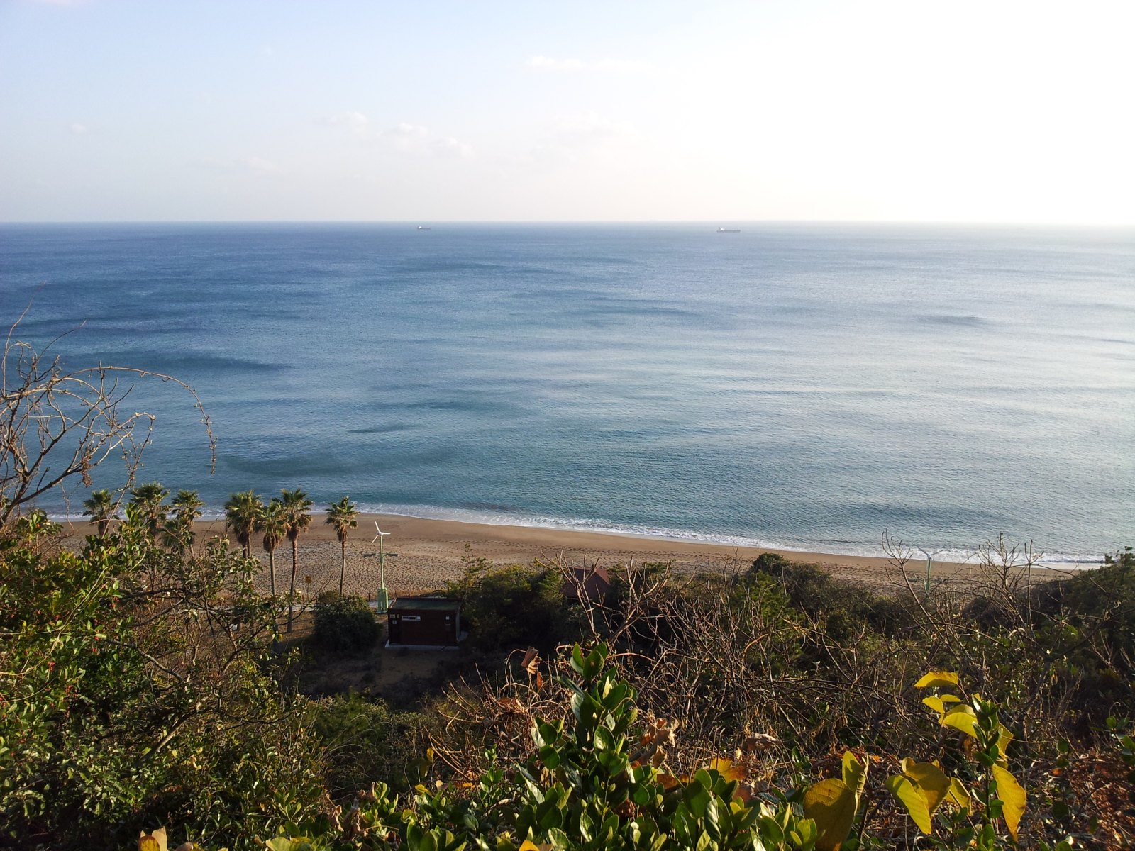 国际驾驶证到底是什么,国际驾驶证怎么办理费用多少