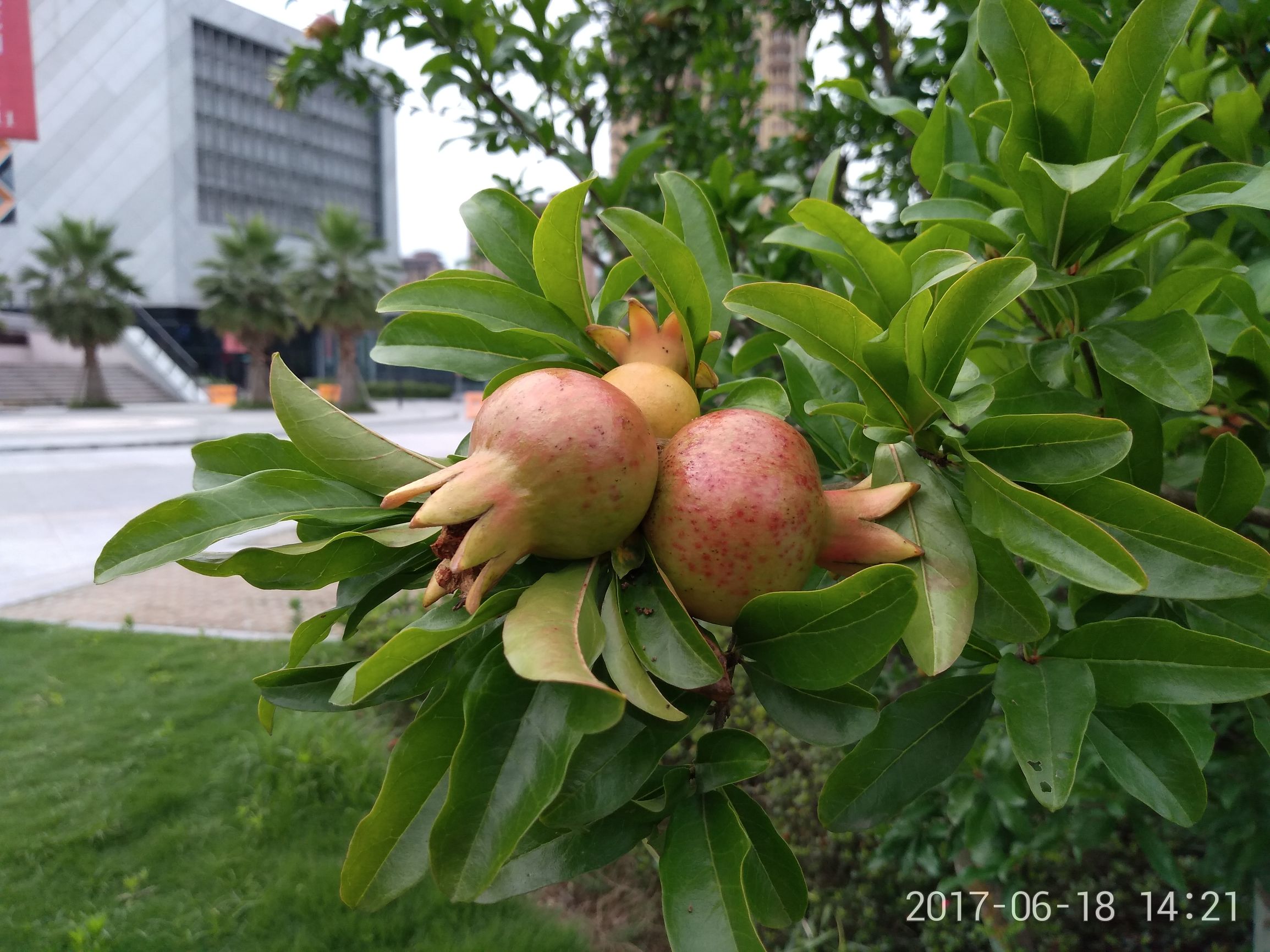 360手机n5s测评,360n5s手机深度评测