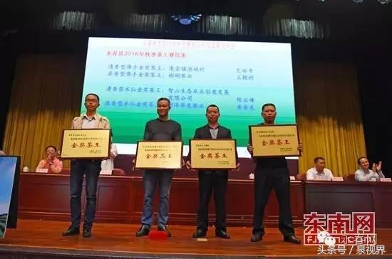 揭秘“一壶好茶”背后的点滴沉淀—永春网专访永春水仙茶王黄金友