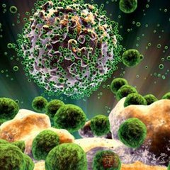 孕妇水痘的危害和治疗-米霞医生皮肤科系列科普（1）