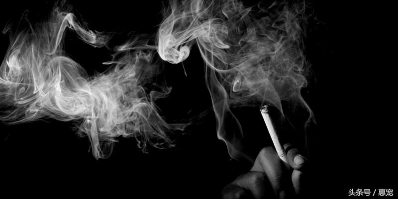 养着宠物还抽烟,你是拿它们的小命儿来燃烧!