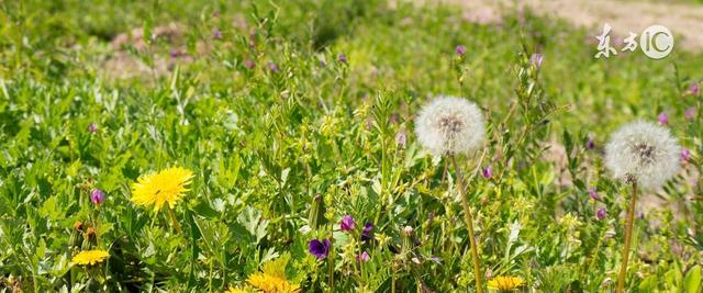 母乳多也是烦心事，堵奶吸不出来急坏了不少妈妈，一招瞬间即通，只恨知道的太晚