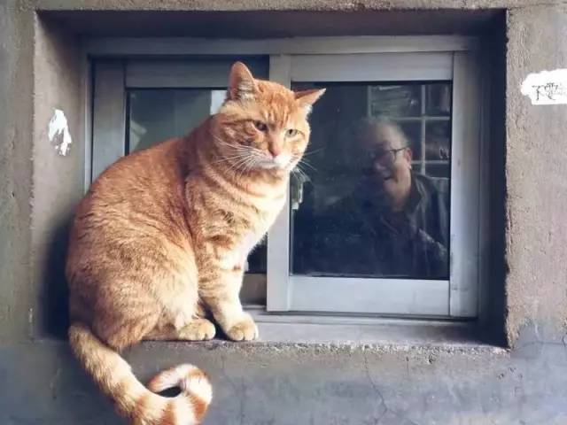 原来用手机就能拍出这么美的照片,手机拍出来最美的照片