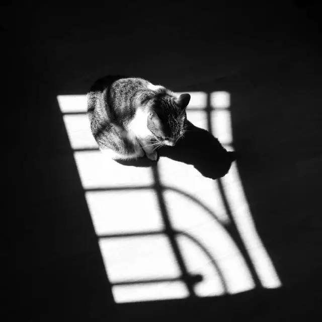 原来用手机就能拍出这么美的照片,手机拍出来最美的照片