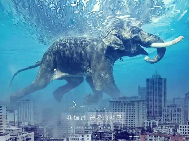 原来用手机就能拍出这么美的照片,手机拍出来最美的照片