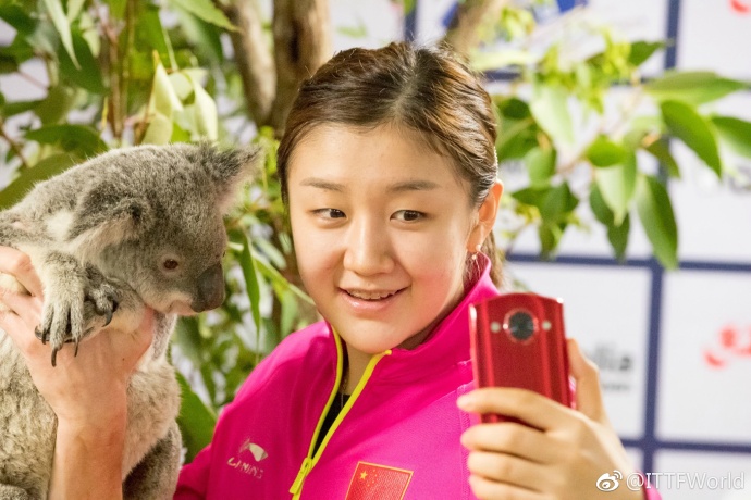 澳洲公开赛乒乓球丁宁与孙颖莎,澳洲公开赛陈梦与王曼昱比赛