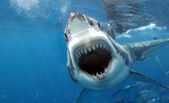 上课看漫画书被老师批评,初中生上课看小说被老师批评