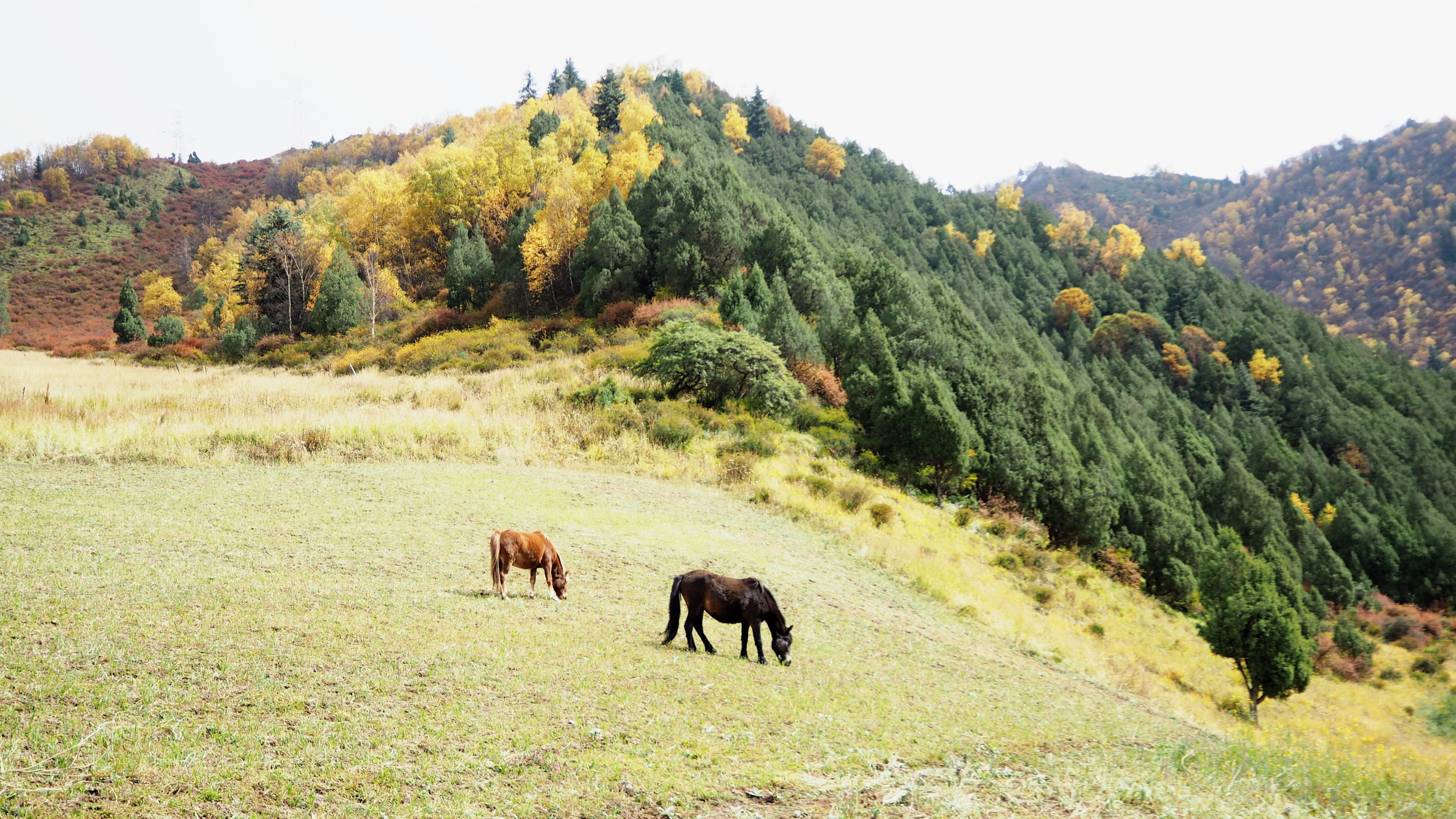 青海游记探秘神秘的青藏高原之旅,青藏高原旅行大全