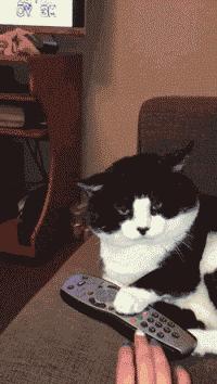 怎样让球可以绕过守门员转进去,开球怎么直接让球飞进球门