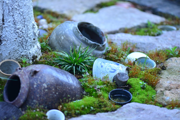 鎷滆涓滅鑽夊爞,鑺卞洯鎷滆