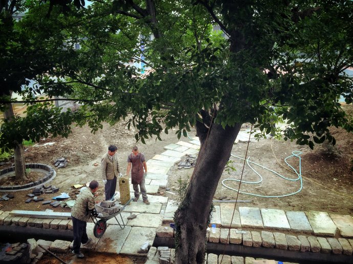 鎷滆涓滅鑽夊爞,鑺卞洯鎷滆