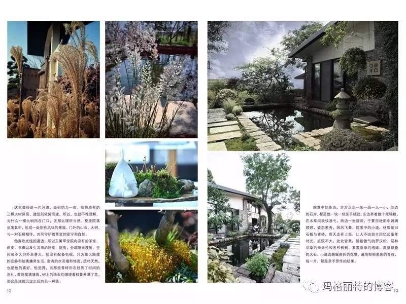 鎷滆涓滅鑽夊爞,鑺卞洯鎷滆