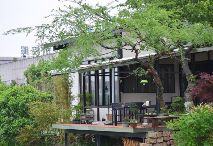 鎷滆涓滅鑽夊爞,鑺卞洯鎷滆