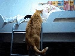 这样的叫床方式，有点一言难尽！