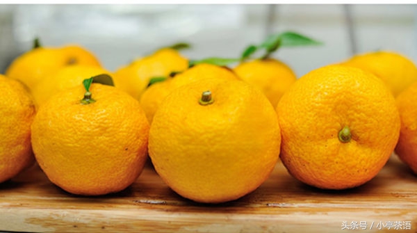 正宗的柚子茶是什么味道的,柚子茶与普通茶有什么区别