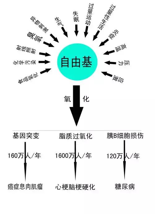 亚麻酸和亚油酸的区别是什么,阿尔法亚麻酸与欧米伽3关系