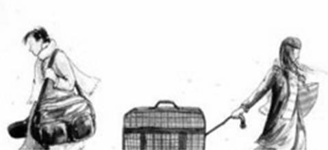 生肖虎和生肖猴一起做事怎么样,生肖虎跟生肖猴结合在一起