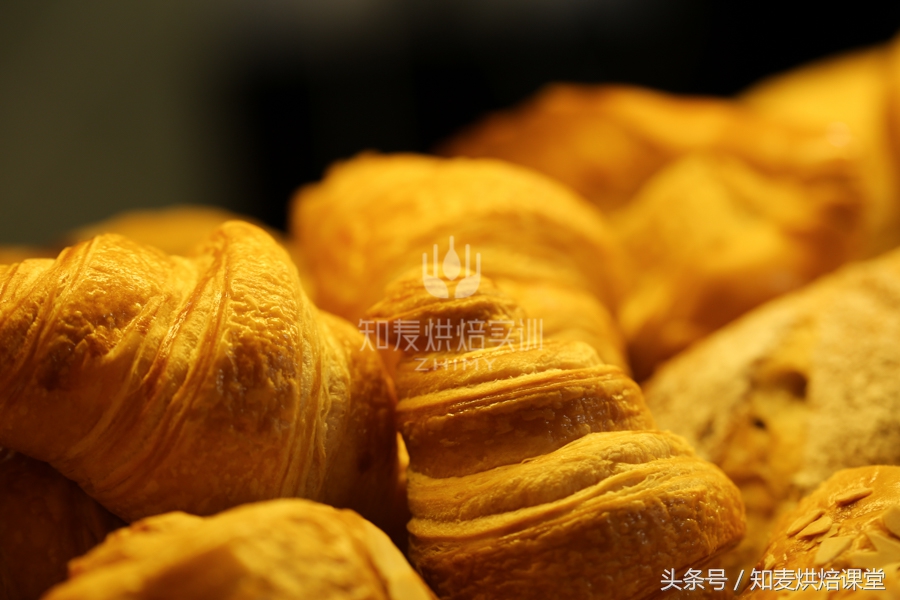 雨季防霉方法,除湿防霉技巧