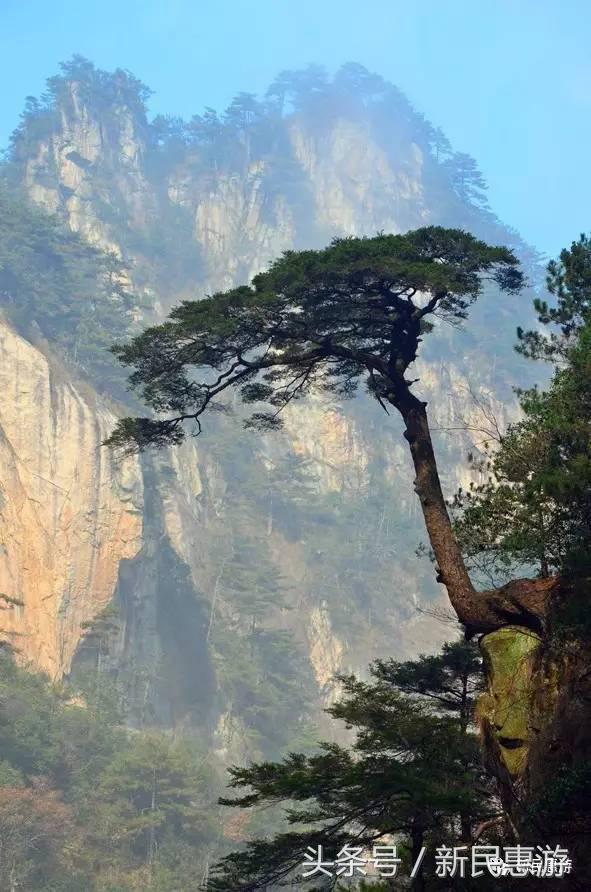 在太湖看大自然风景,感受大自然的气息和太湖沿途风景
