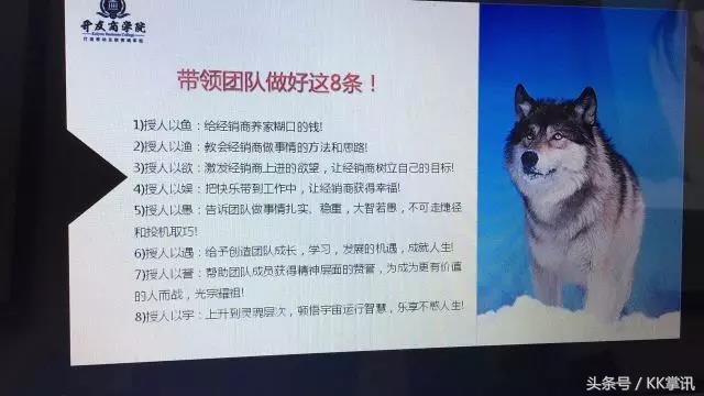 与狼共舞:上海交通大学微商总裁班十一期学员分享