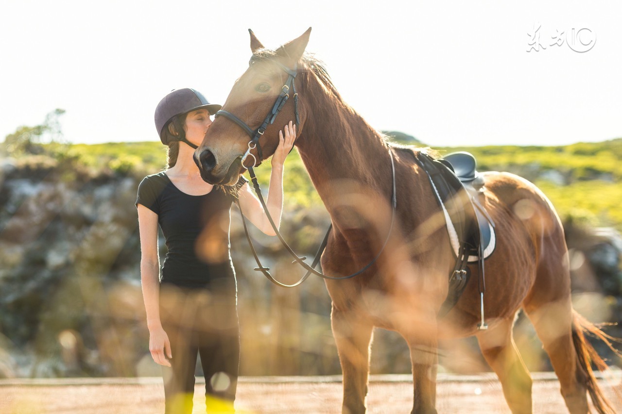 明天属马人的运气,明天属马人运气怎样