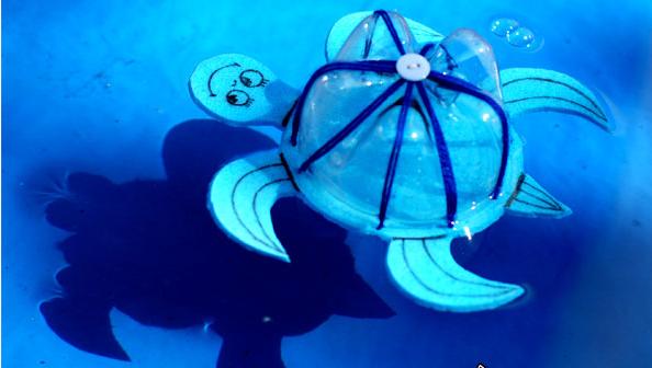 怎么用一个塑料瓶给小乌龟做家,幼儿用鸡蛋盒制作手工小乌龟教程