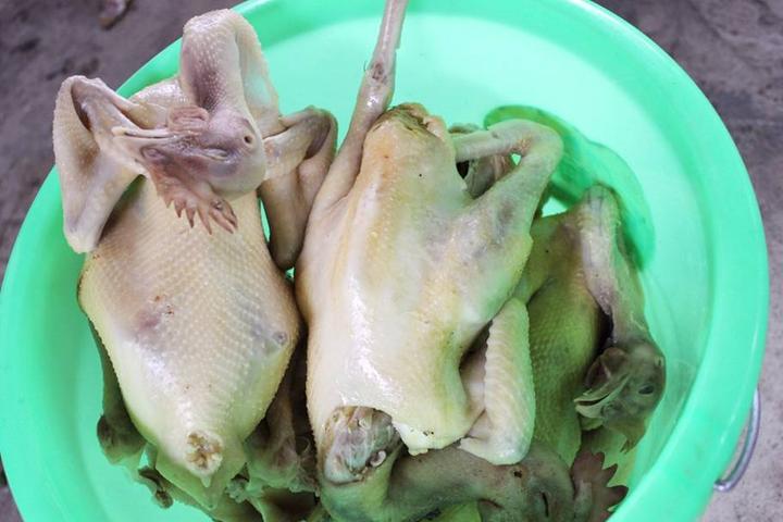 游机鸡是什么东西?吸引一群厨王跑到南宁农村吃