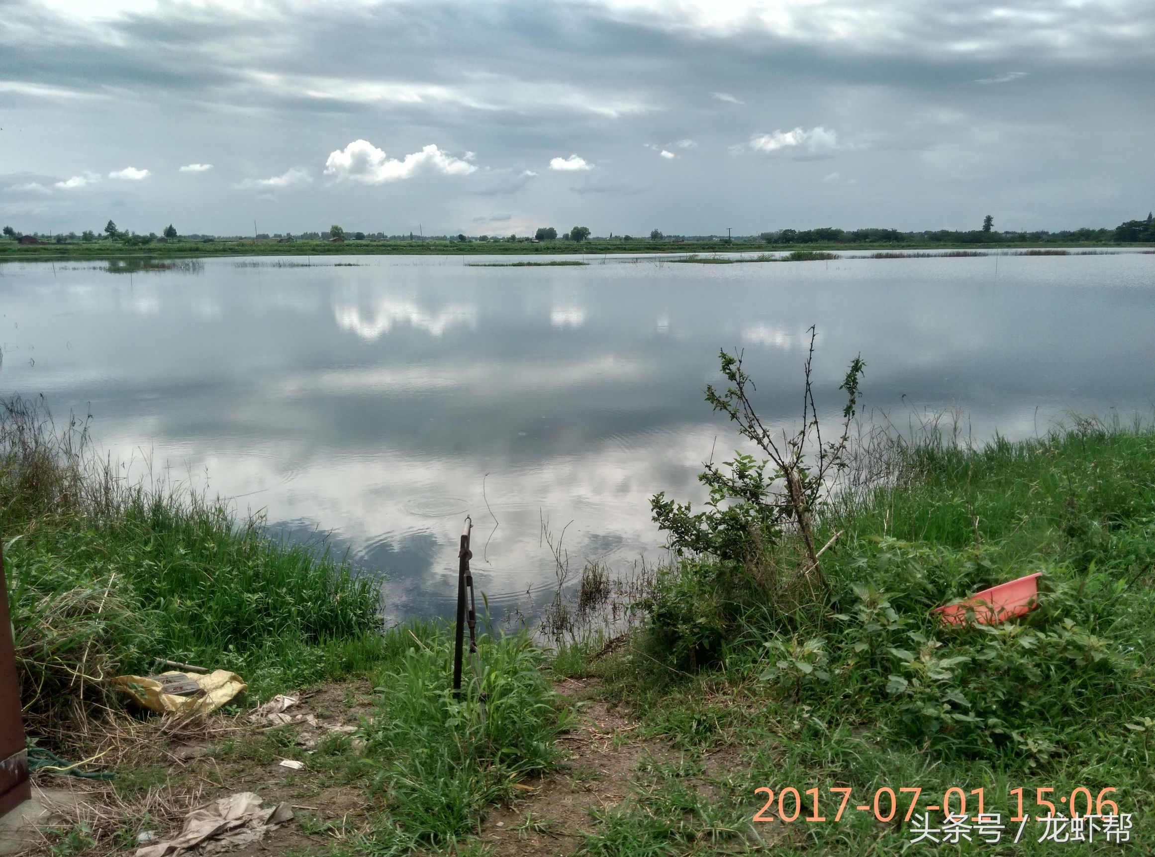 这简直是小龙虾养殖户的恶梦，看了就头痛，俗称铁虾，丁虾形成的原因，你还不看过来吗！