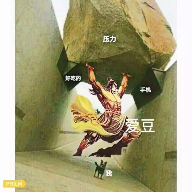 要不是腰软，怎么能把腿的劈这么开？