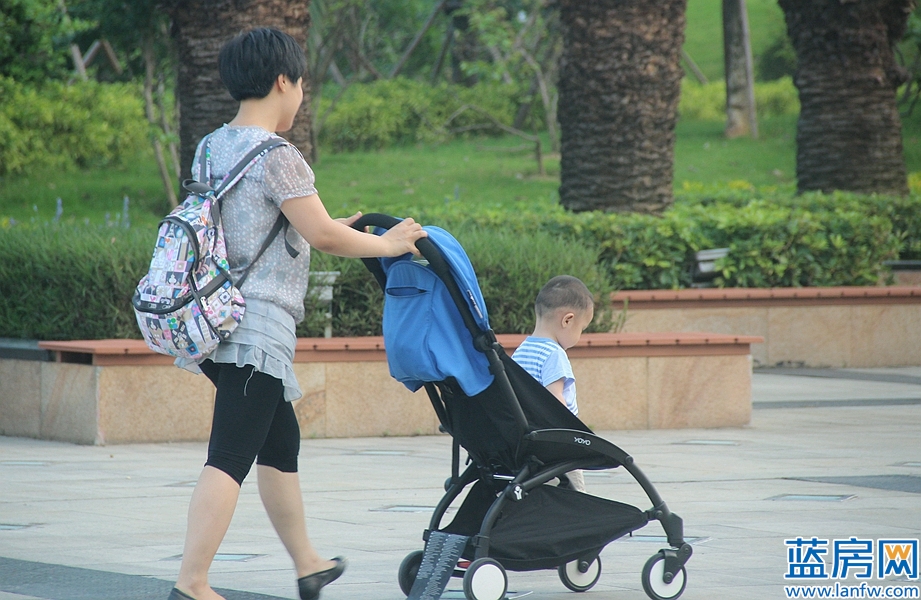 厦门海湾公园蓝眼泪最佳观赏时间,厦门看海滩哪里最好