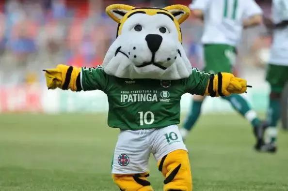 阿根廷联赛巴西联赛,球事儿在线阅读