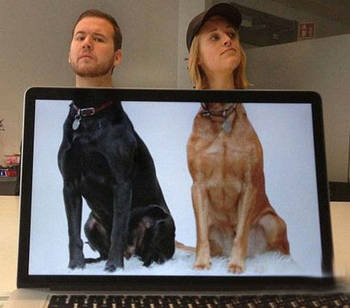 手机掉厕所怎么除臭,手机掉厕所里怎么拿出来