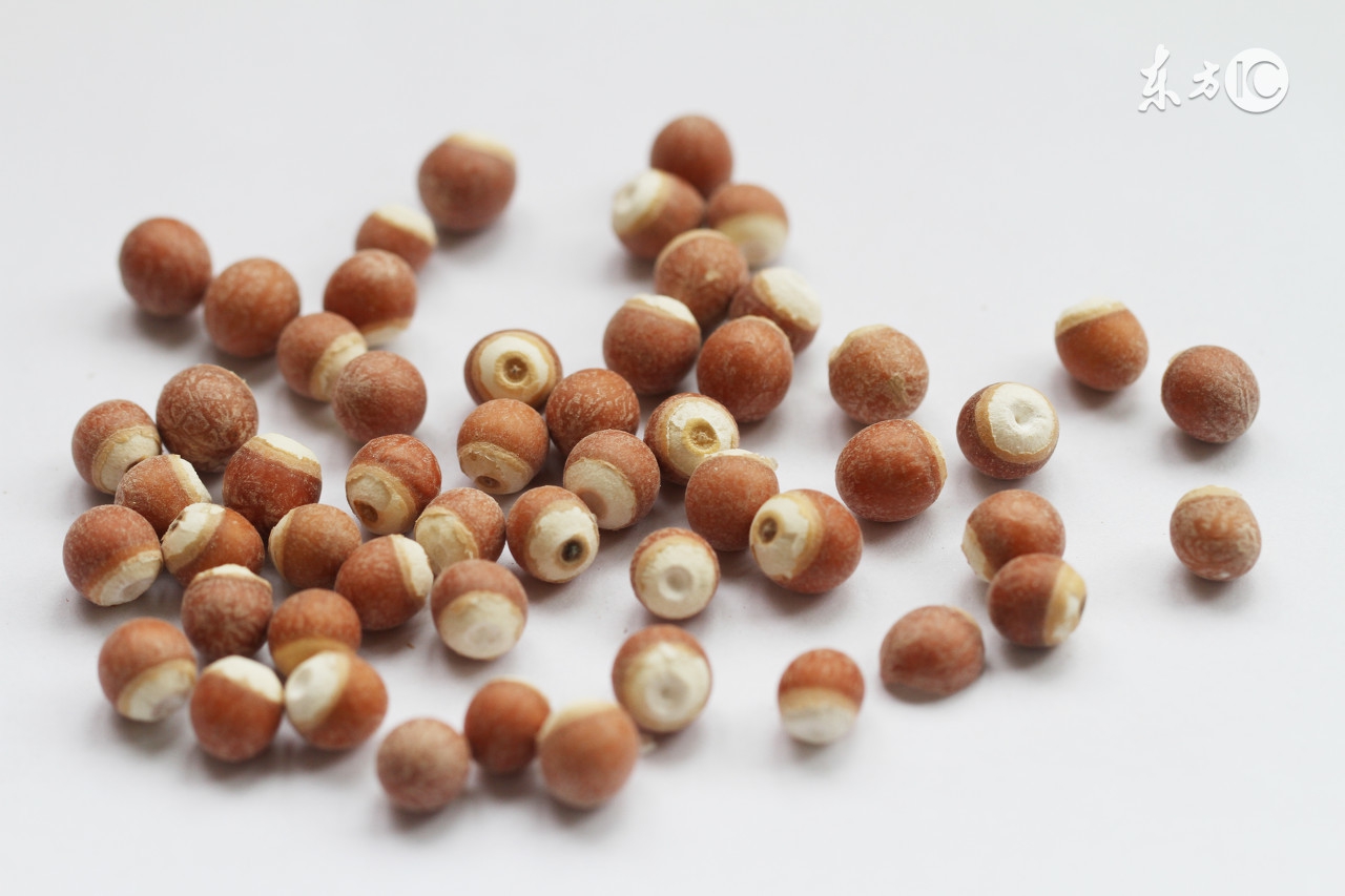 男性长期喝红豆薏米茶的危害,红豆薏米赤小豆祛湿正确方法