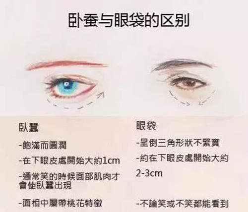 眼睛什么样的眼型好看,眼睛又大又圆属于什么眼型